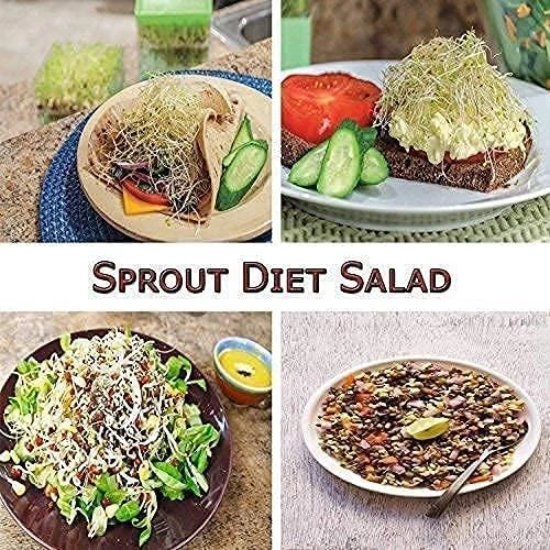 Sprout Maker with 4 Compartments, 4-Layer Plastic Sprouting Jar for Grains, Seeds, Dal, Channa, and Chole (500ml)