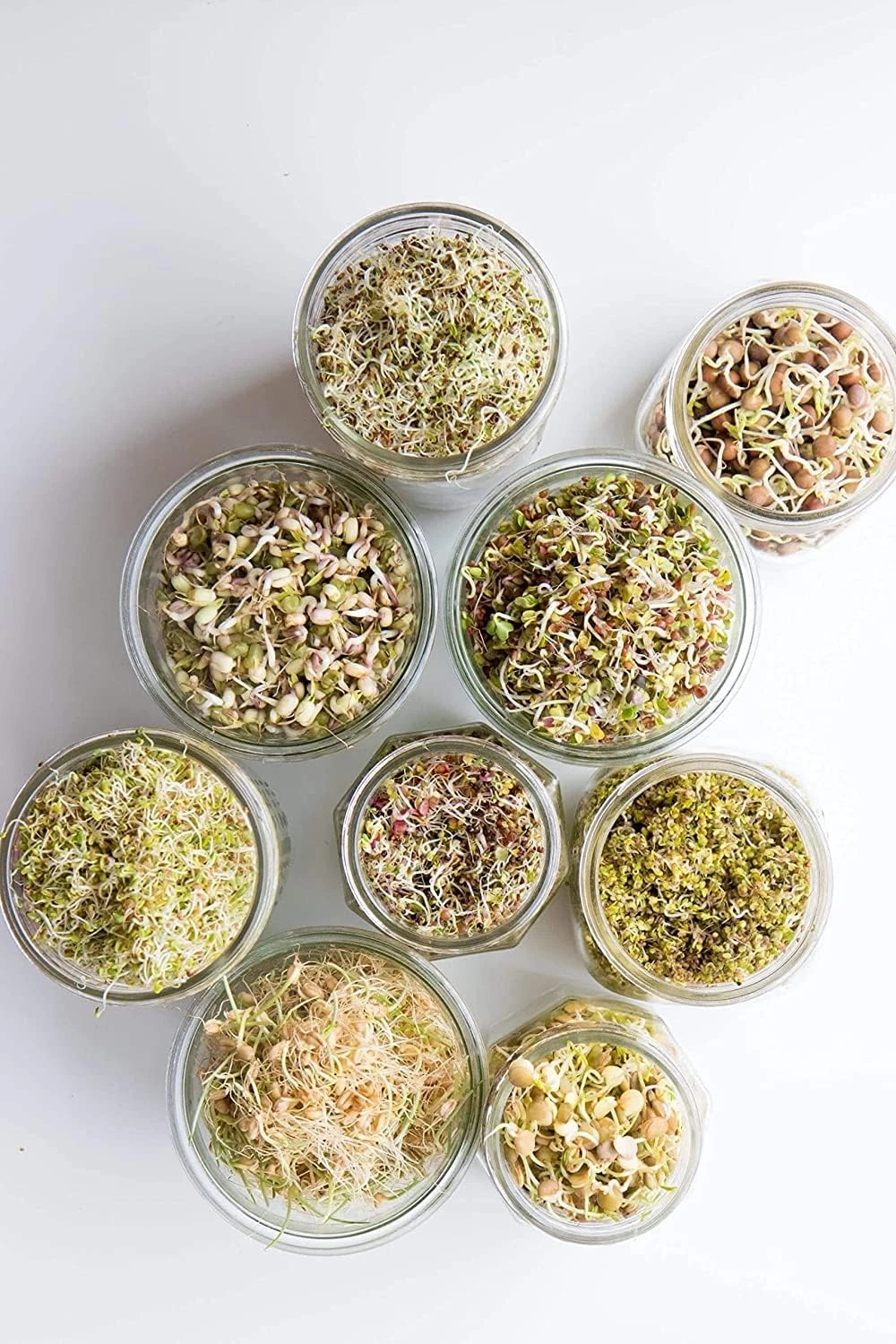 Sprout Maker with 4 Compartments, 4-Layer Plastic Sprouting Jar for Grains, Seeds, Dal, Channa, and Chole (500ml)