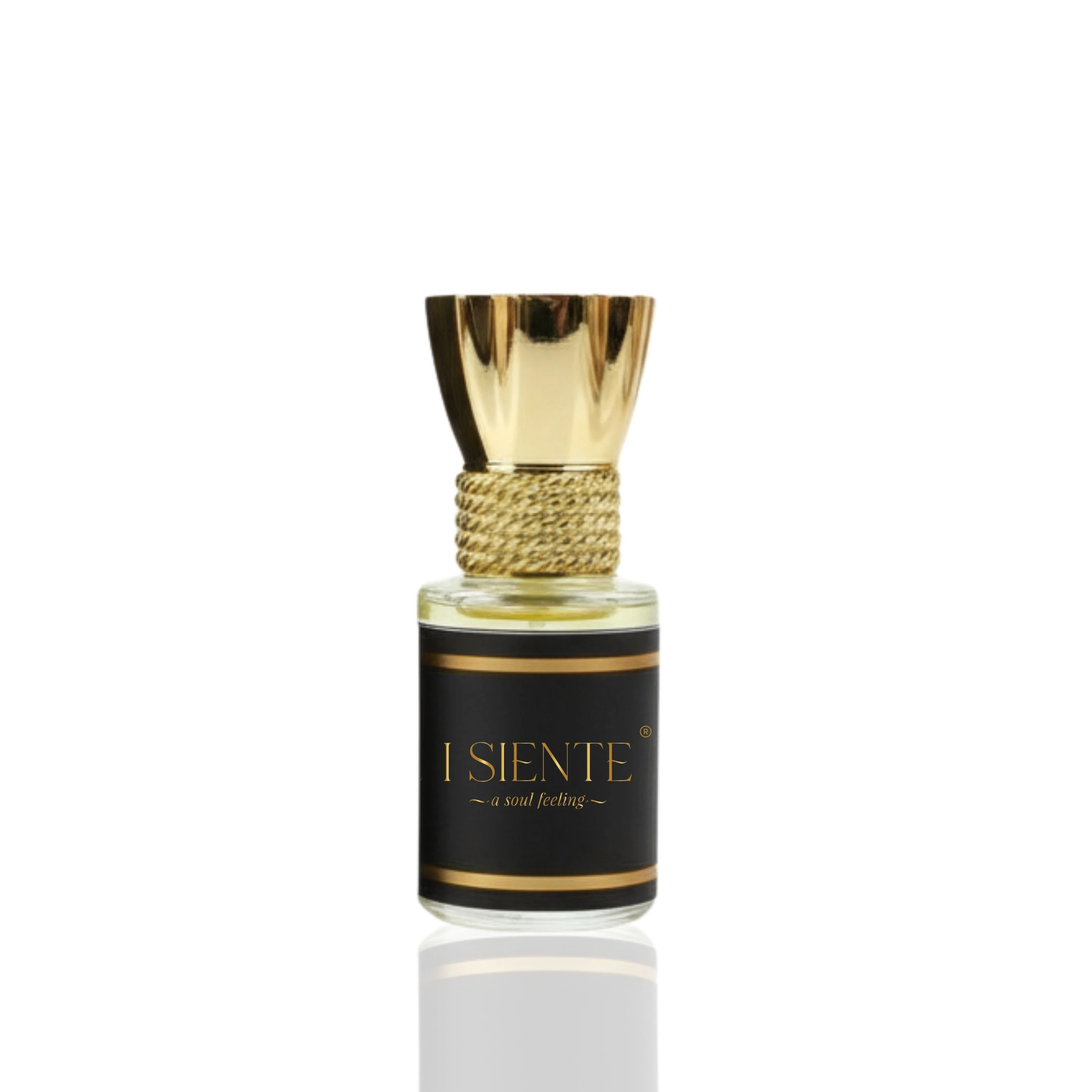 Ethereal Essence Extrait de Parfum Unisex Roll-On | 12ml | 100% Pure Concentration | Oudh, Woody, Citrus, Rose & Warm Spicy Notes | 24 Hour Long Lasting Perfume | Premium Luxury Fragrance Gift