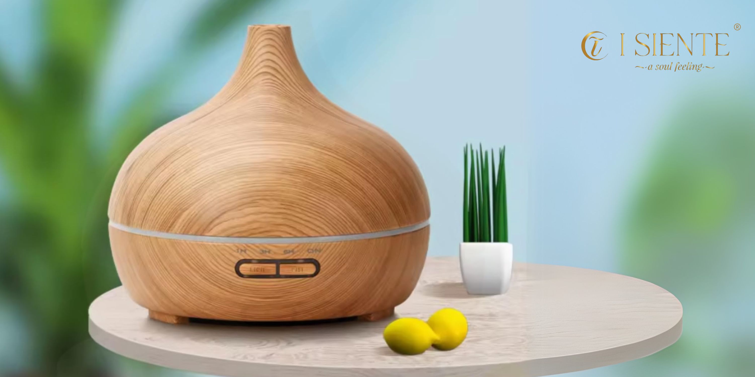 Aromatherapy Diffuser